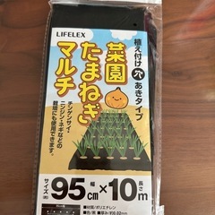 たまねぎマルチ　95㎝×10m
