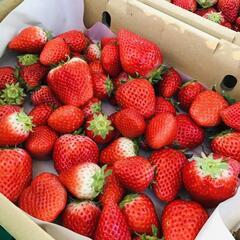 大人気！1.2キロがなんとこのお値段！入荷しました　いちごの画像