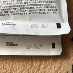 パクパ paqupa 卵黄 卵白 離乳食の画像