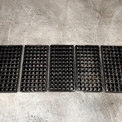 種まき用パレット(5枚)