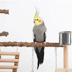 バード用アスレチックスタンド　パーチジム　小鳥 オカメインコ セキセイインコ 文鳥 遊び場 トレーニング 止まり木 吊り橋 タワーの画像
