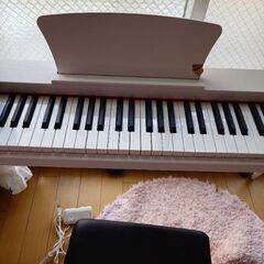 2月13日に購入しました。