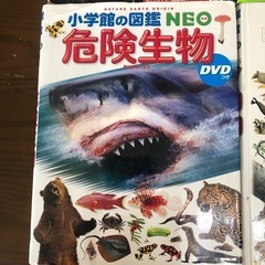 小学館　図鑑の画像