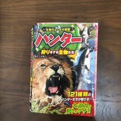 小学館　図鑑の画像