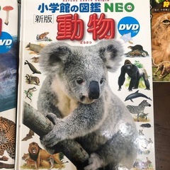 小学館　図鑑の画像