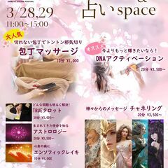 しぶやさくらまつり　2025/3/28.29