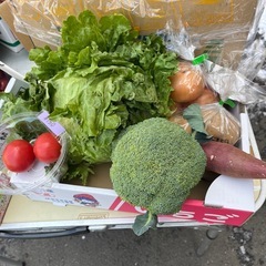 【残1セット】お野菜詰め合わせセット⭐︎