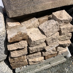 ピンコロ　100角規格　半割40個