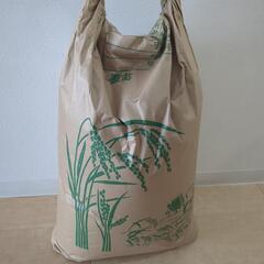 令和6年度　新米　にこまる30.7kg（愛媛県産）