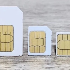 審査不要‼️ブラックOK‼️ 即日利用可　格安SIMカード　最安...