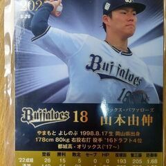 Calbee プロ野球チップス 2023 金箔サイン入り 山本由伸 オリックスの画像