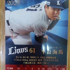 Calbee プロ野球チップス 2023 金箔サイン入り 平良海馬 西武ライオンズの画像