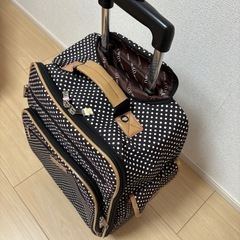 キャリーバッグの画像