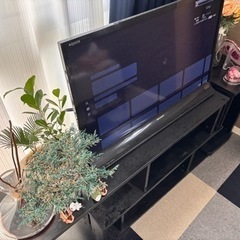 家電 テレビ 液晶テレビ