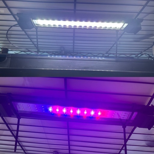 【取引中 】60cm水槽セット（9点セット）