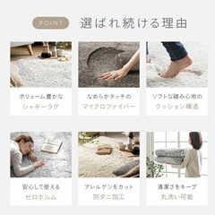 シャーギーラグの画像