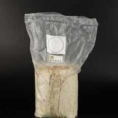 クワガタ用カワラ菌糸産卵棒