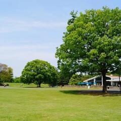 3/23(日)秋葉原の公園でモルックをしたい方を募集いたします^^♪ - 千代田区