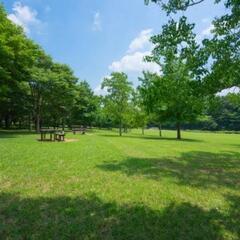 3/23(日)秋葉原の公園でモルックをしたい方を募集いたします^^♪ - スポーツ