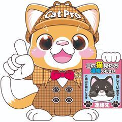 【朝方〜深夜帯毎日時間ある方歓迎】迷子のペットコンサル！東京
