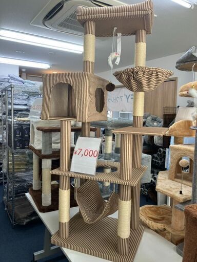 【特価7,000円】未使用キャットタワー♪