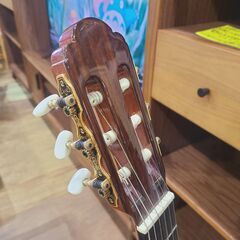 【愛品館 市原店】✔店頭取引限定✔ARIA アリア A-50C クラシックギターの画像