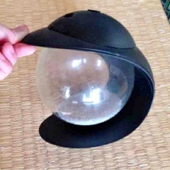 インテリア水槽の画像