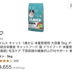 猫ごはん