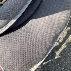 ピジョン　ランフイリノンの画像