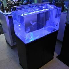 【未使用品】クラゲ用(クラゲ以外も飼育可)　60cm水槽10点セット