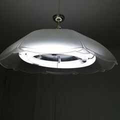 【ジャンク品】レトロ　ひも付き天井照明 蛍光灯　3個の画像