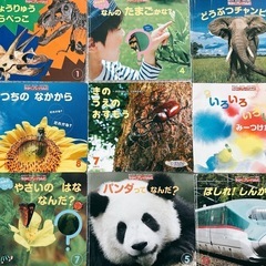 幼児教育　絵本　図鑑　まとめ売り　
