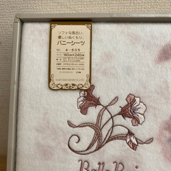 バニーシーツ
　の画像