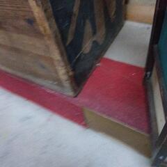 蝿入らずの画像