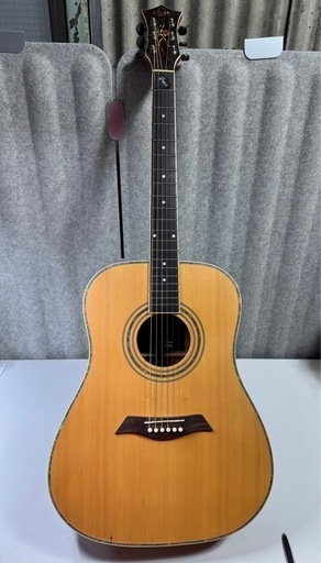 Elioth B305 NS アコースティックギター アコギ エリオス
