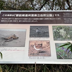 磐田市、袋井市で一緒にゴミ拾いしてくれる女性募集