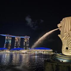 海外旅行友達募集