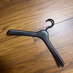 生活雑貨 洗濯用品 ハンガー　10本の画像