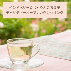 天宮玲桜先生の側近！インドペリー＆じゃりんこちえ子のチャリティー...