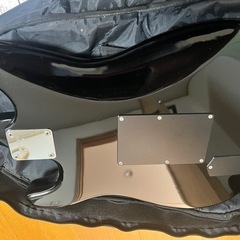FERNANDES フェルナンデス THE FUNCTION　最終明日まで