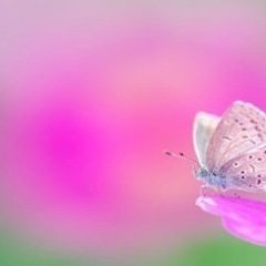 3月22日(土)蕨のディスコに行こう🎵