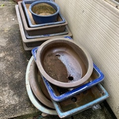 植木鉢　無料の画像