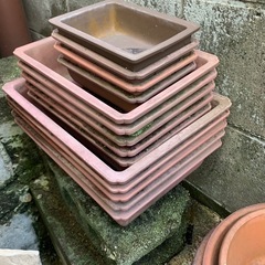 植木鉢　無料