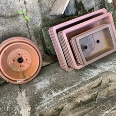 植木鉢　無料の画像