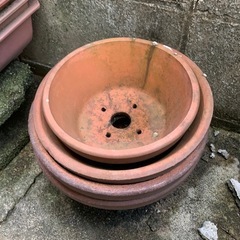 植木鉢　無料の画像