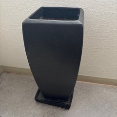 おしゃれな鉢
