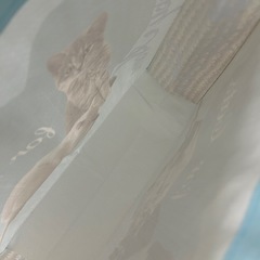猫　ビニールバッグの画像