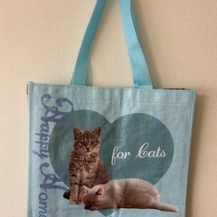 猫　ビニールバッグの画像