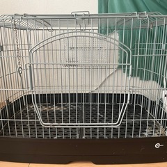 取引中、小動物ケージ