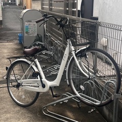 [割引可能] サクモトのフリット